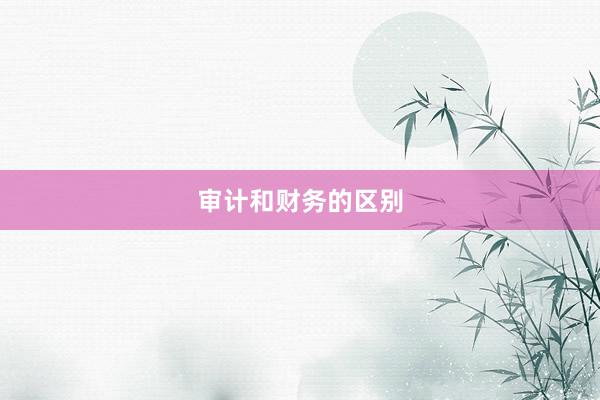 审计和财务的区别